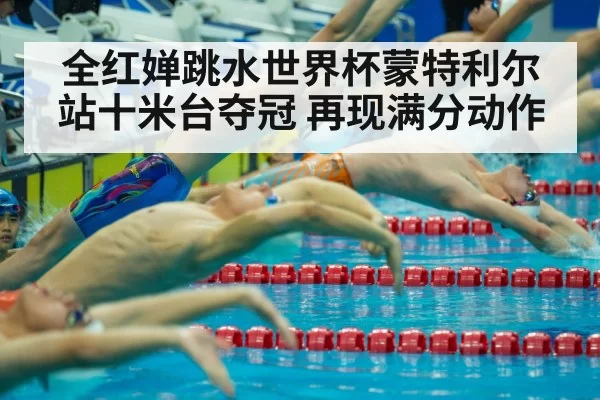 全红婵跳水世界杯蒙特利尔站十米台夺冠 再现满分动作